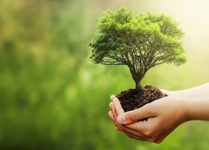 Corso Valutazione Impatto Ambientale e Valutazione Ambientale Strategica
